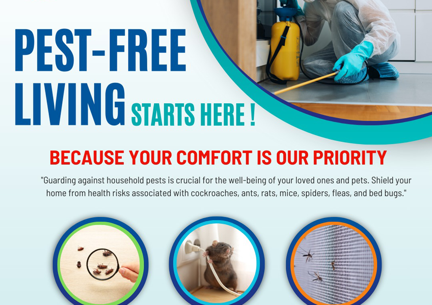 Your home, pest-free & stress-free – that's our promise