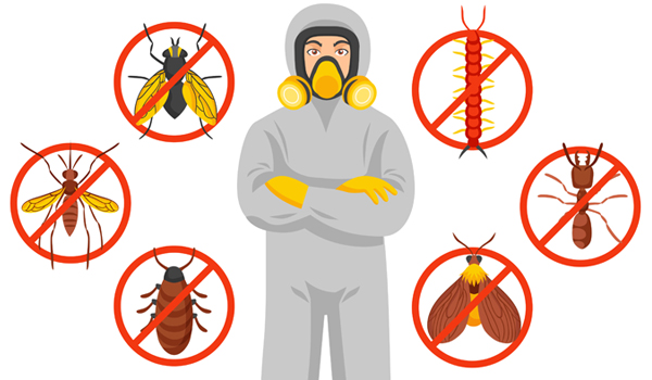 Pest Control Services Ras al Khaimah